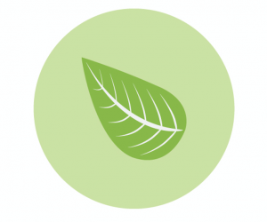 artic solar steam solar technology